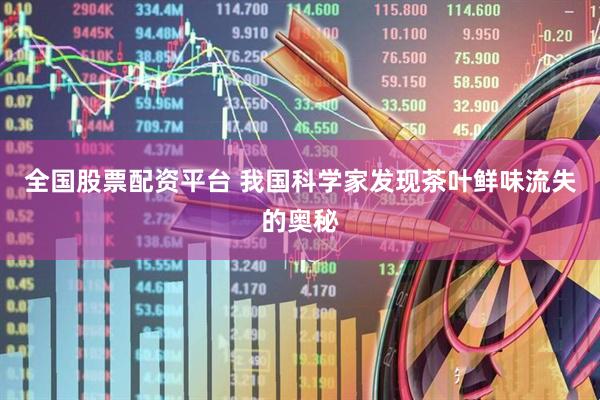 全国股票配资平台 我国科学家发现茶叶鲜味流失的奥秘